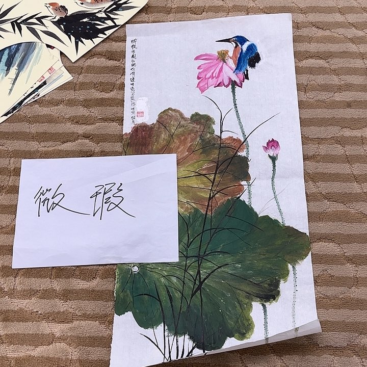 国画花鸟等多种鸟类的70.35