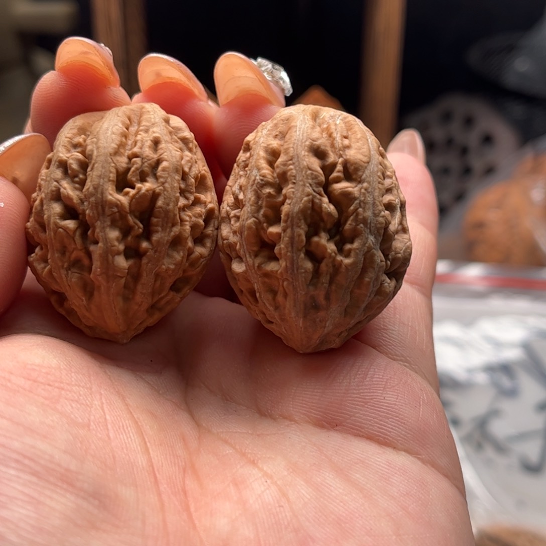 文玩核桃把件关东木子家楸大胖4