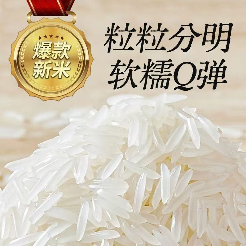 【买五斤送五斤到手十斤】正宗长粒香米猫牙米丝苗米炒饭新鲜大米