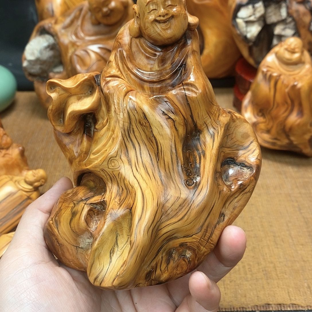 柏木（崖柏）一物一图