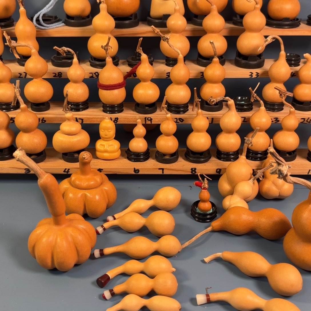 点***点木木木木木木木木木木木木木木木