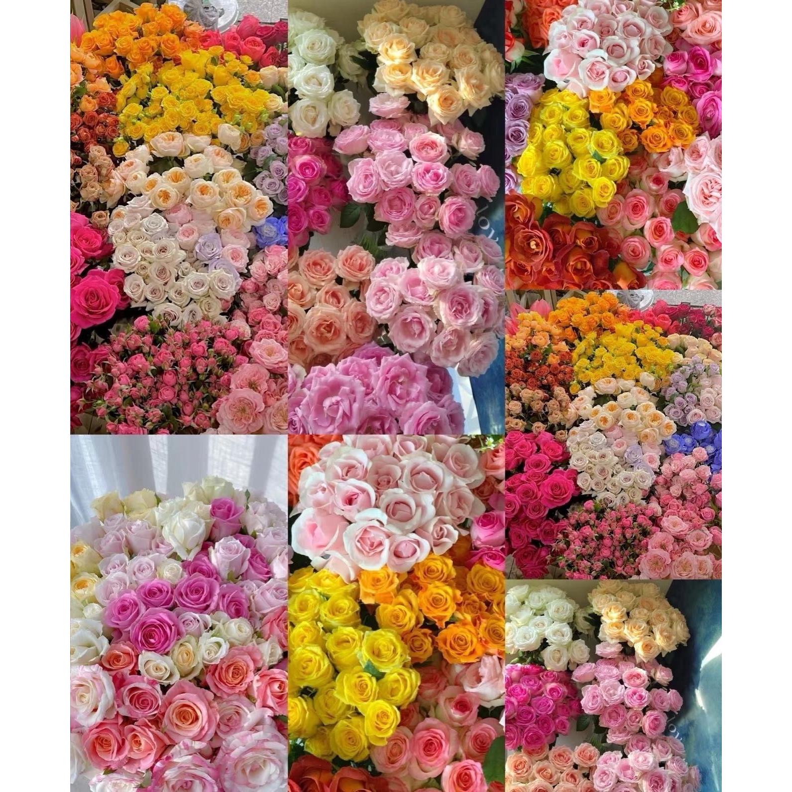 专属福利！随机玫瑰10支装云南基地直发水养鲜花家用装饰