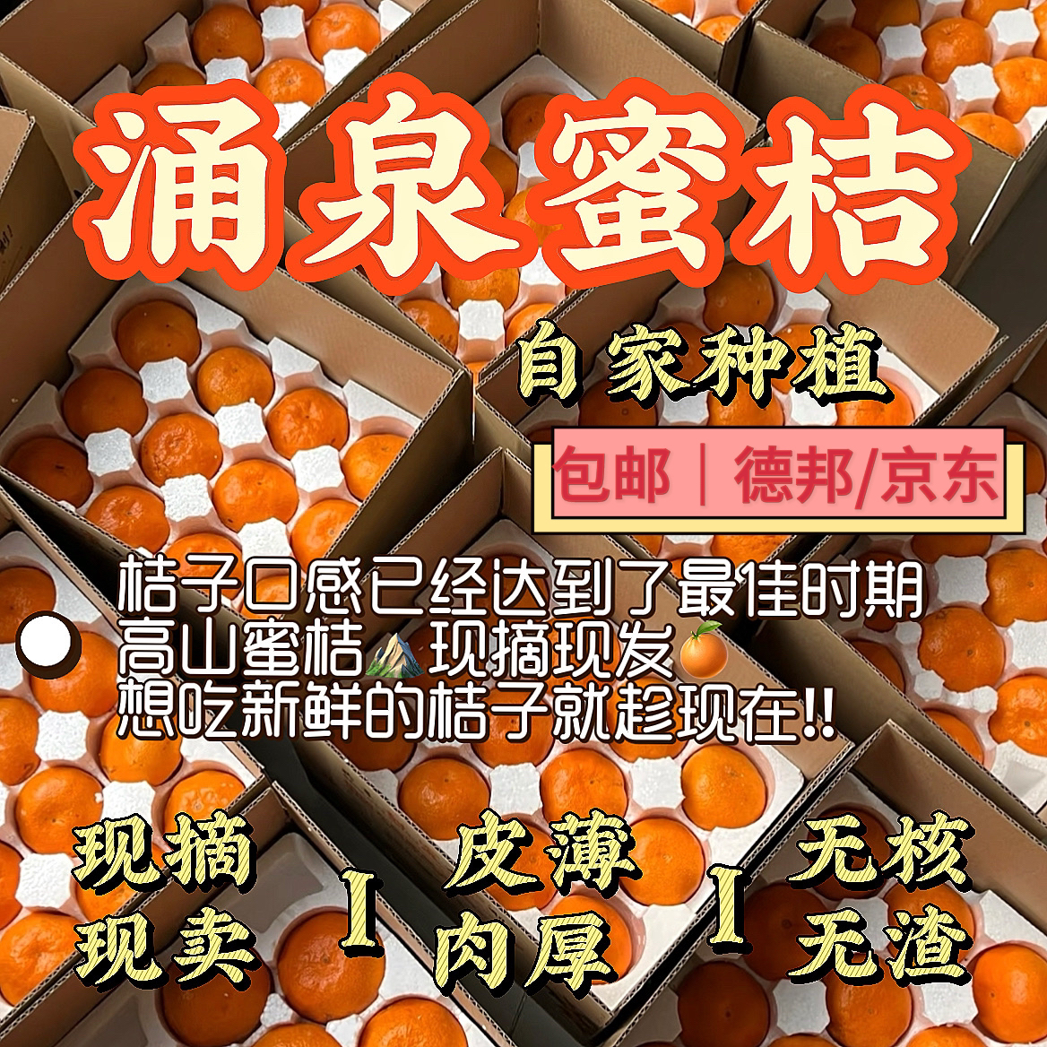 涌泉高山蜜桔，大果一箱8斤左右2箱装