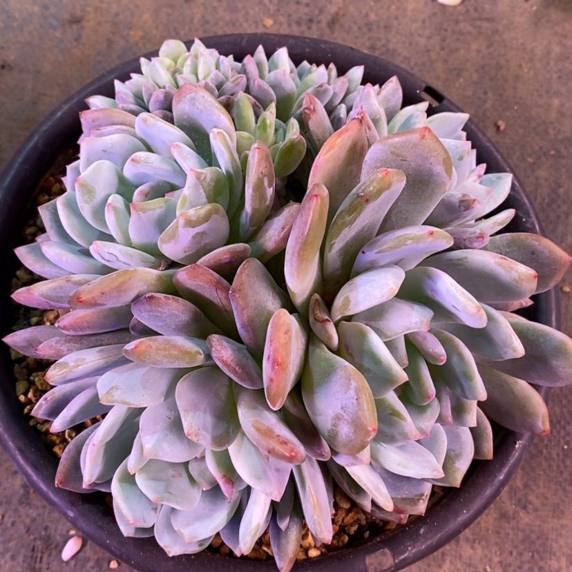 【闪购商品】品*1111111111