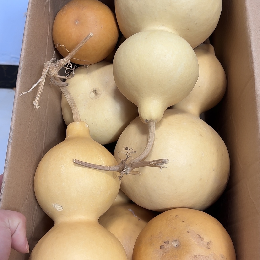澄***神中号处理不保全品