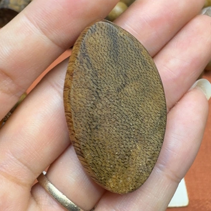 沉香沉香碎屑馨安居沉香88888