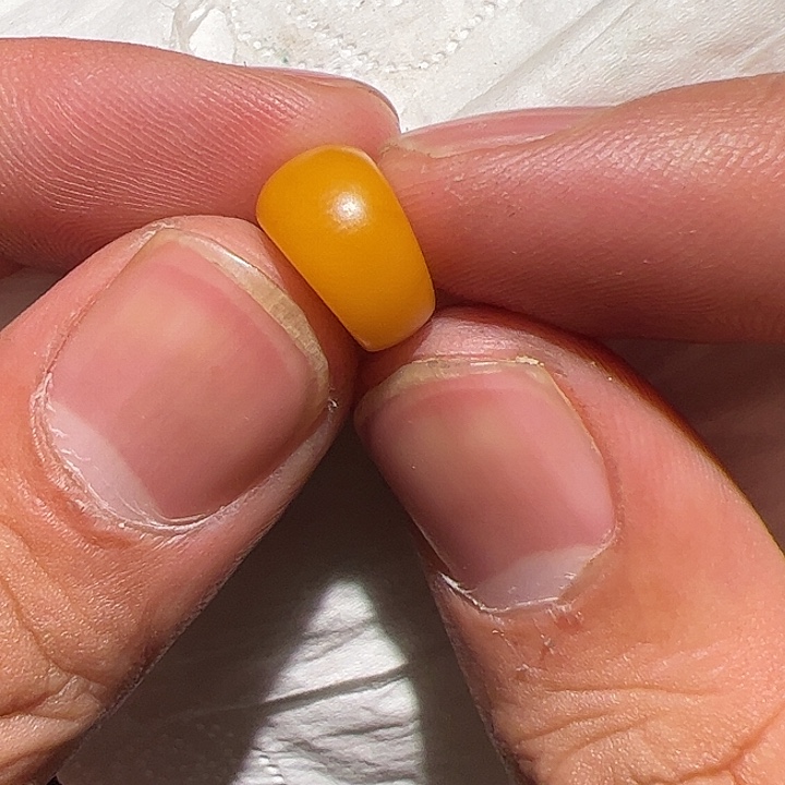 香榧木你的时候你是