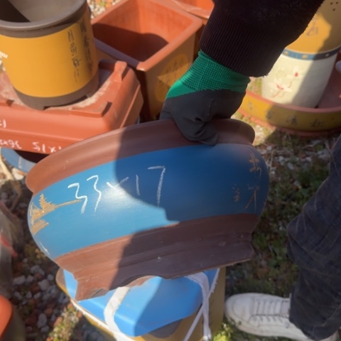 紫砂花盆紫砂花盆盆景盆栽