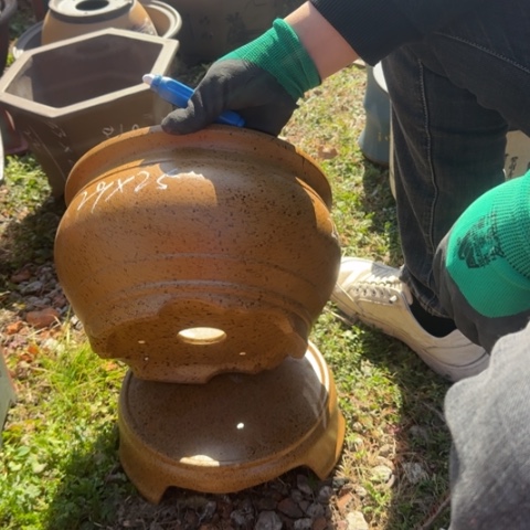 紫砂花盆紫砂花盆盆景盆栽