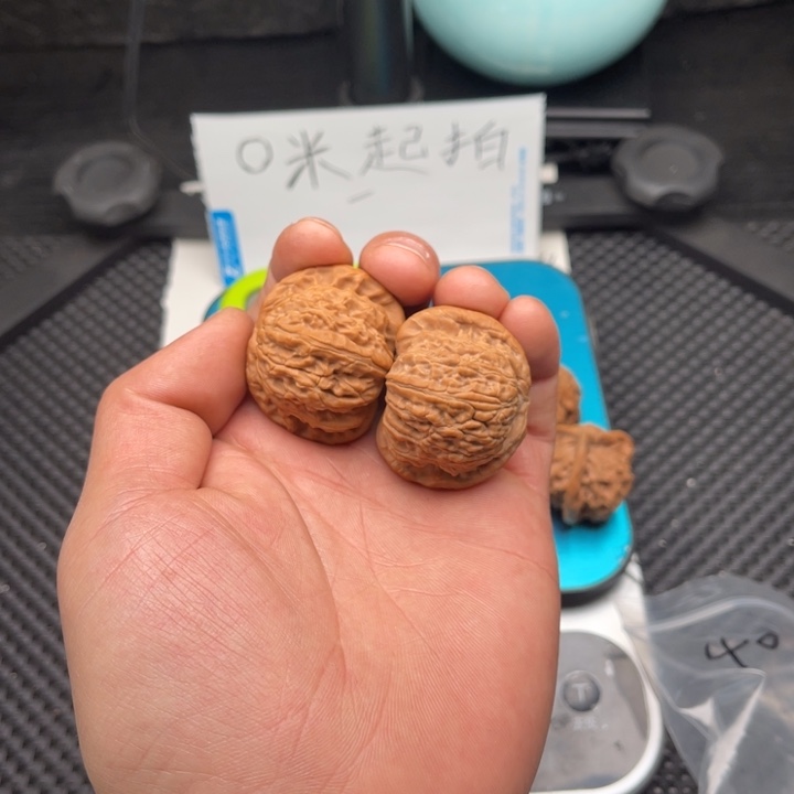 文玩核桃把件p****n40白狮子
