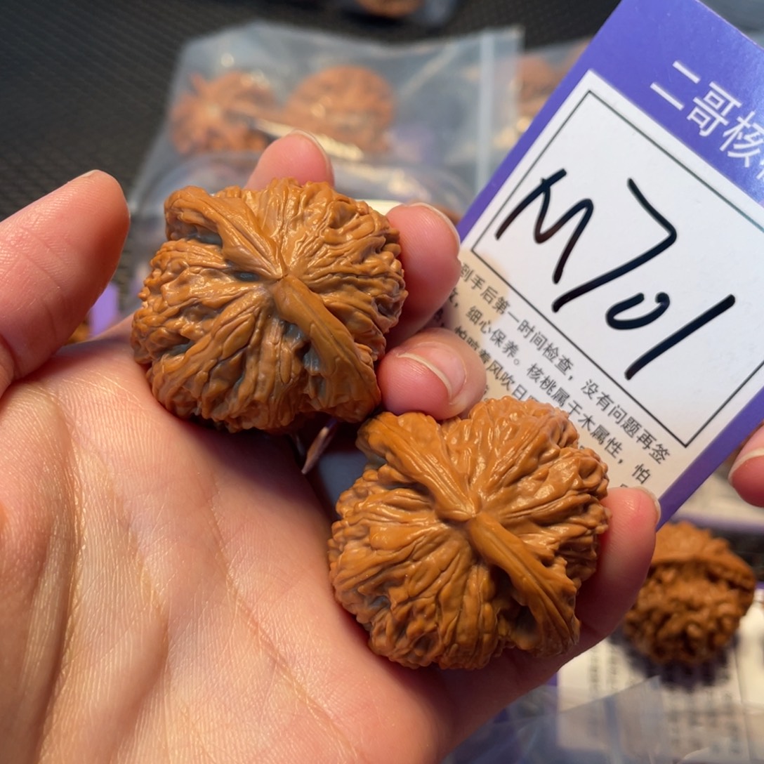 把件文玩核桃M701号白狮子40