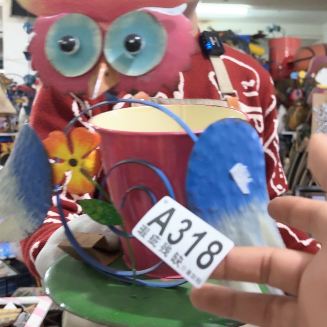 核桃木/黑胡桃（胡桃木）