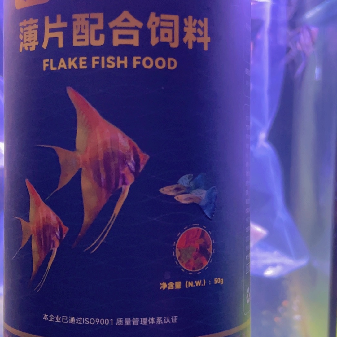 神仙鱼鱼粮一盒薄片