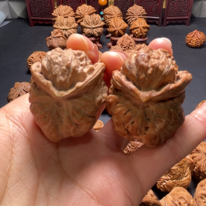 蛙蛙小蛇头核桃哈哈哈哈哈哈哈