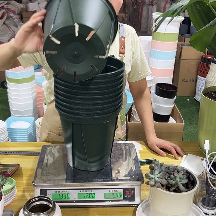 青山盆口21高21军绿色无托10只