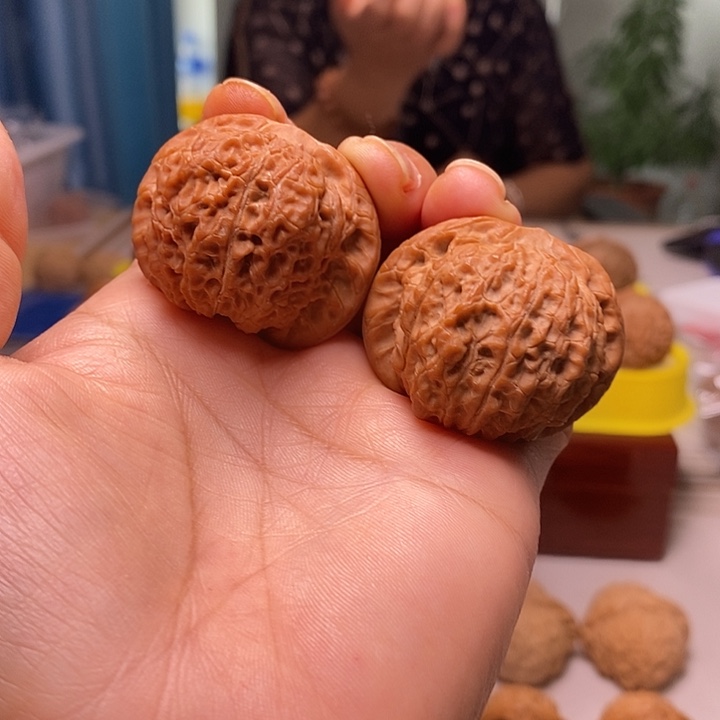 核桃40尺寸血麒麟上色快