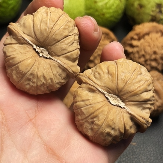 小**，文玩核桃凹底南瓜墩