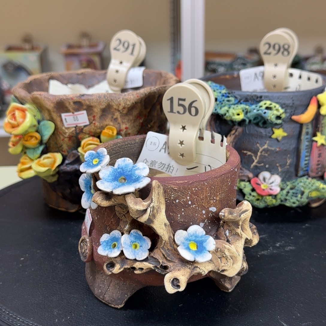 薯****291 298 156 【闪购】多肉花盆