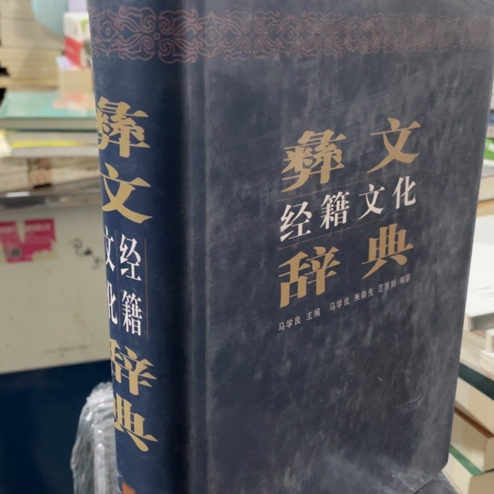 彝文经籍文化辞典精装