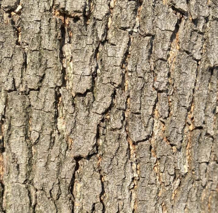 全手工定制连接 