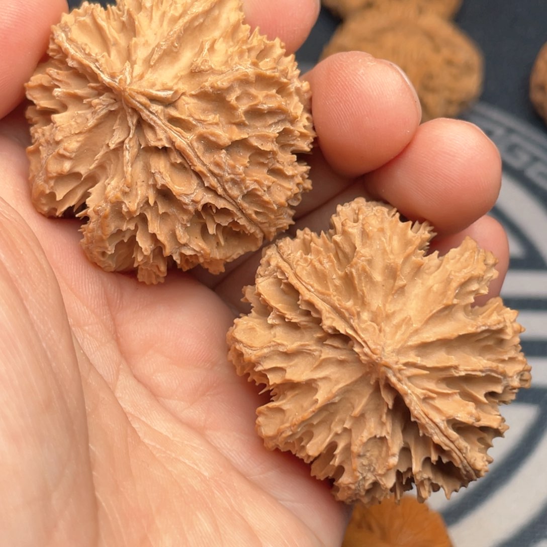 文玩核桃把件静**r48号链接