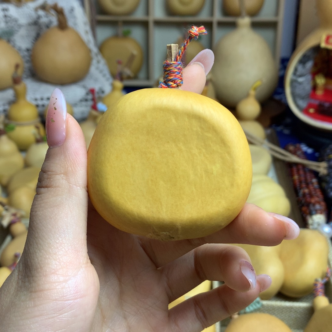 葫芦11号扁扁专拍