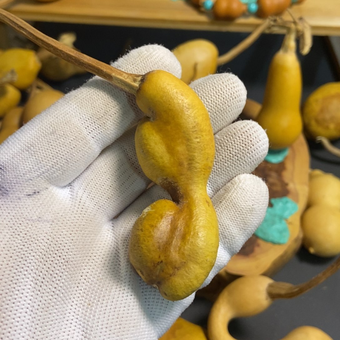 普*r葫芦葫芦真的