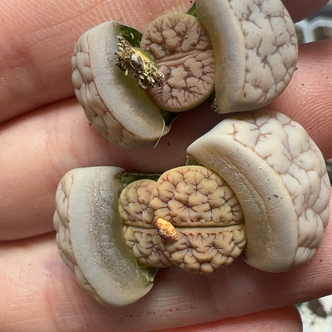 【闪购商品】用****9150……