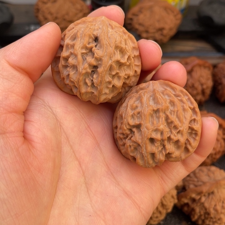 核桃苹果园狮子头苹果园