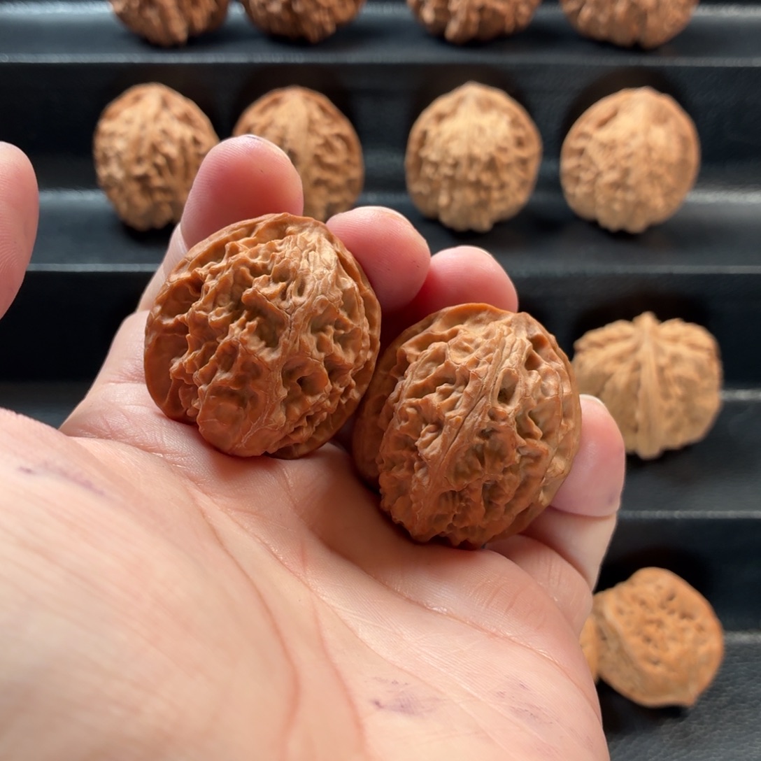 把件桃核山地一代苹果园36