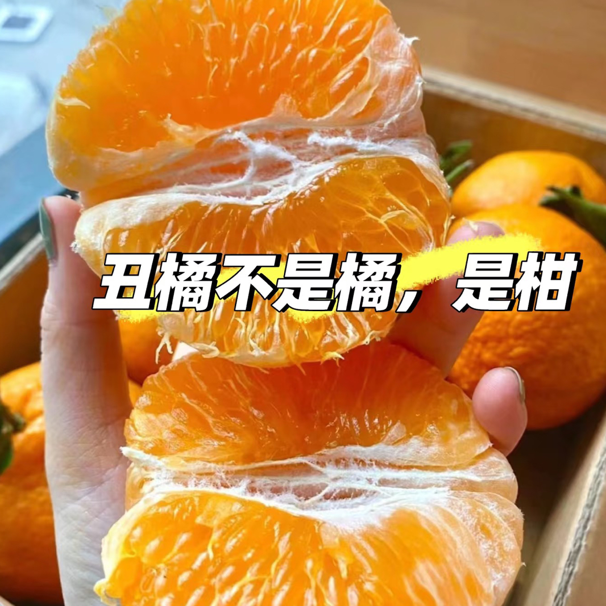 【富贵专属顺丰次日达】云南丑橘4公斤包邮到家云南省