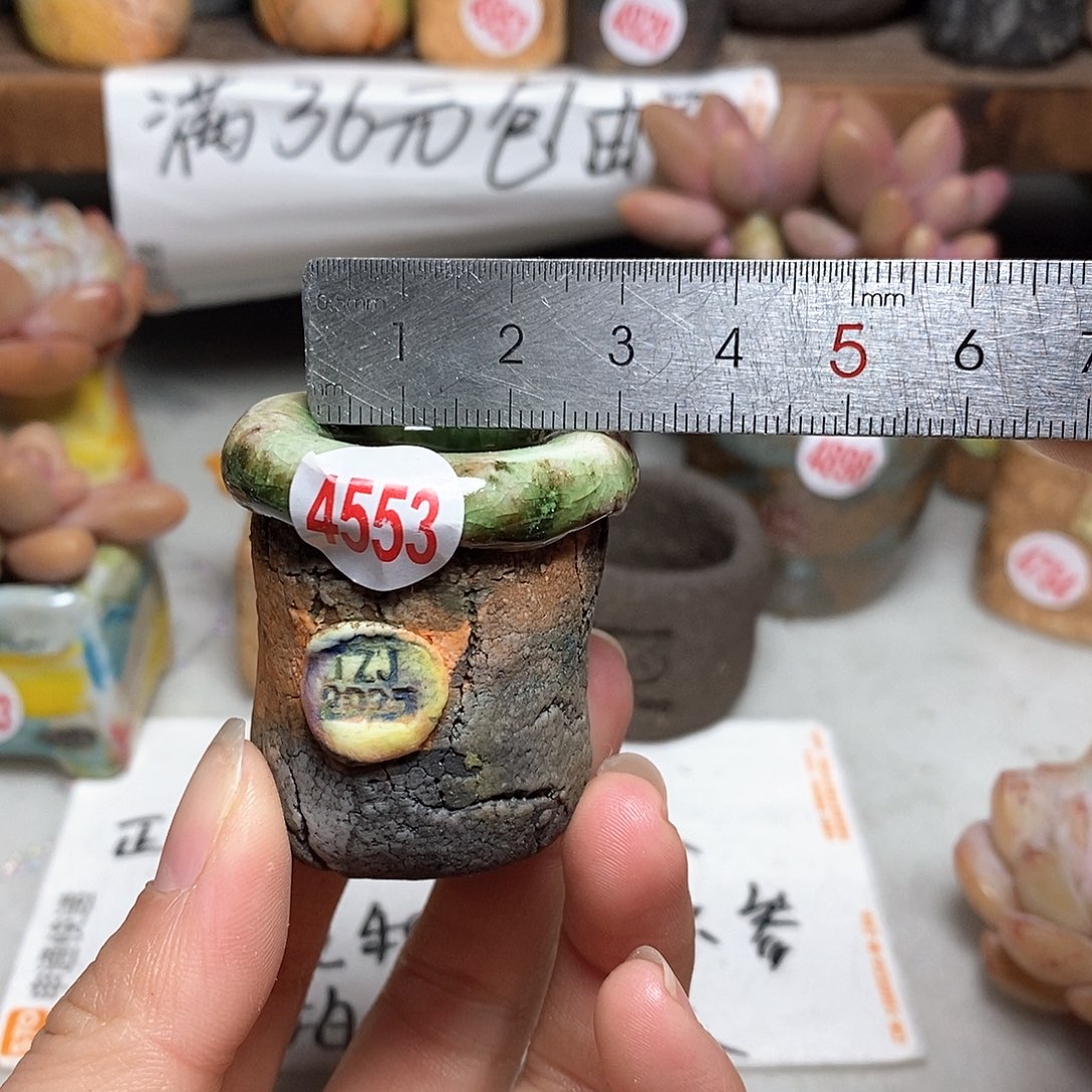 红陶拍5送一个小