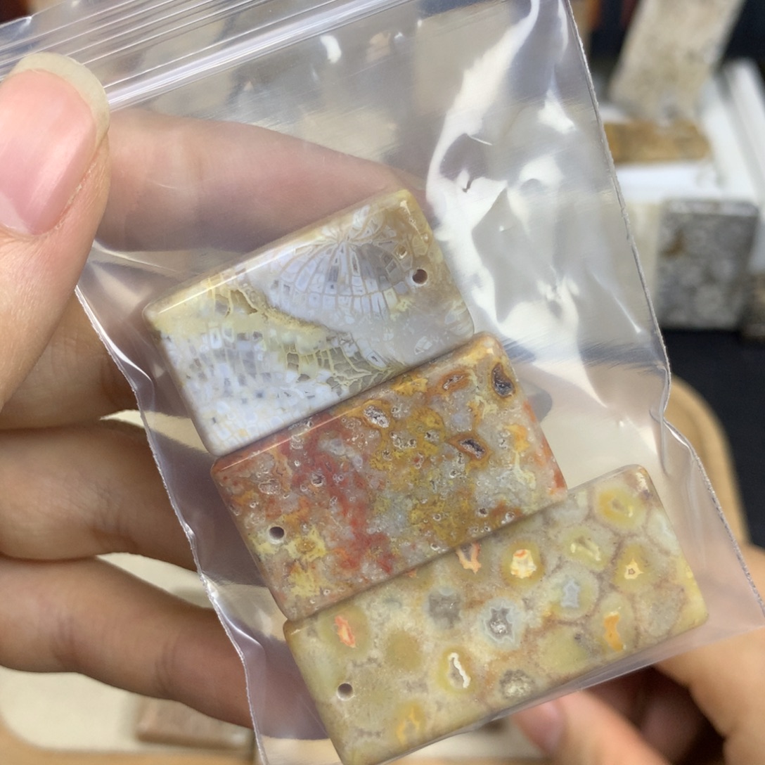一***儿未镶嵌无硅化珊瑚（珊瑚玉）