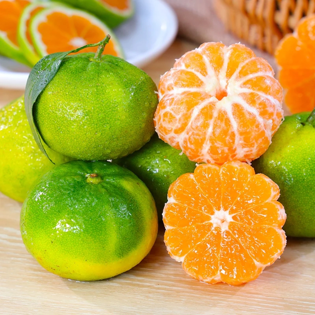 【22-31左右】宜昌蜜橘蜜桔新鲜现摘新鲜应季水果薄皮多汁