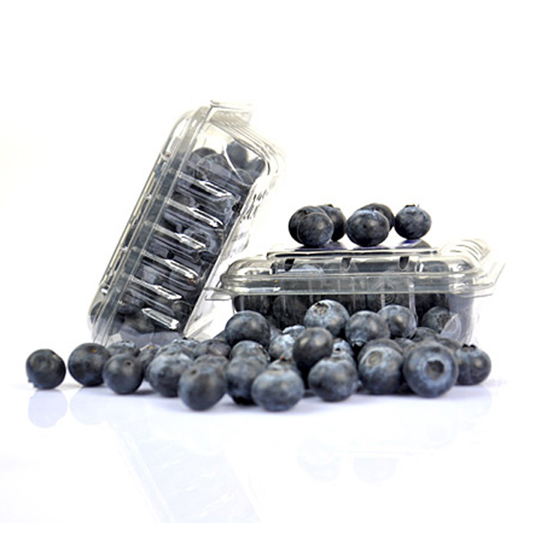 【鲜易达】新鲜水果秘鲁进口蓝莓特大颗1盒装天津市