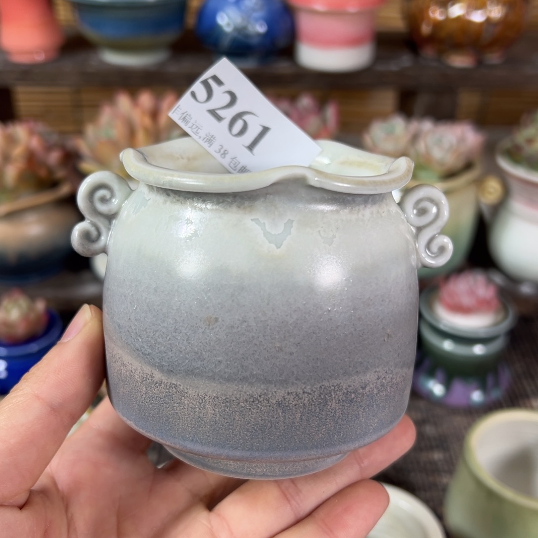 红陶景德镇陶瓷……