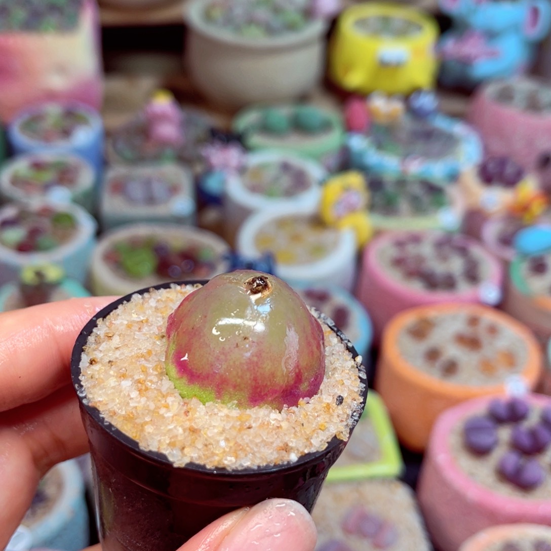 319。88888888888888888888