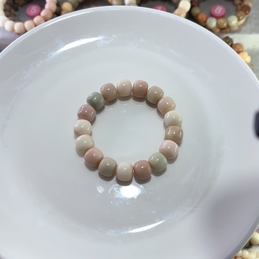 菩提根/象牙果手串H****蓓