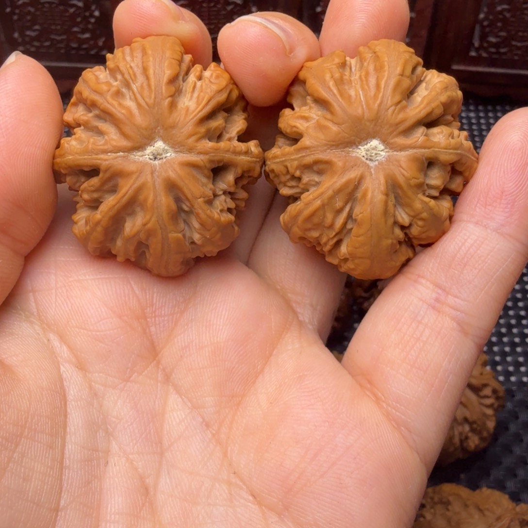 文玩核桃把件金尊元宝25