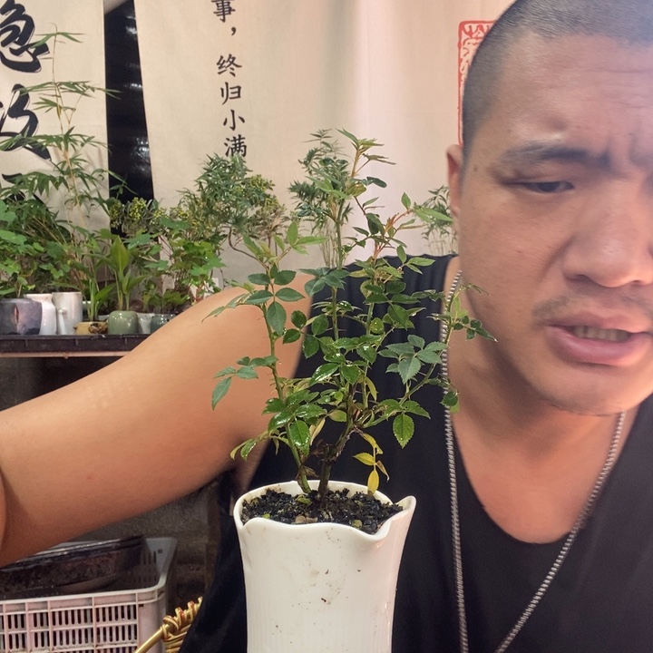 无花朵退款拉黑拉黑190