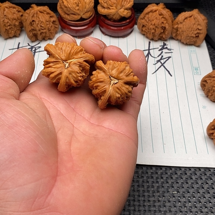 核桃手串/手链白狮子10