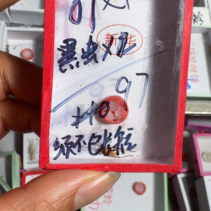 岷***岷蟋蟀蝈蝈我在外面11111
