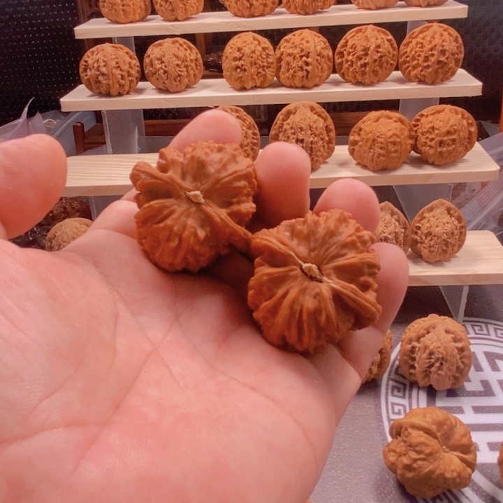 把件文玩核桃白狮子
