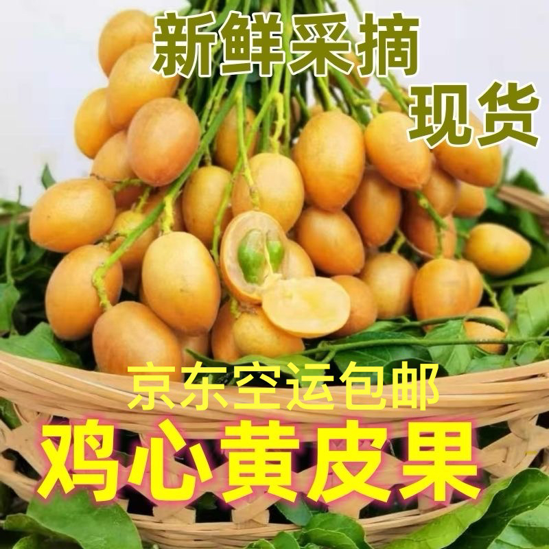 【EMS空运】黄皮果新鲜有核黄皮当季酸甜孕妇水果鸡心黄皮果一整箱