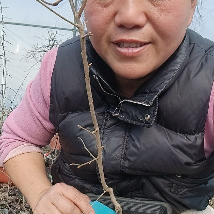 钓***位无花朵1265456899899