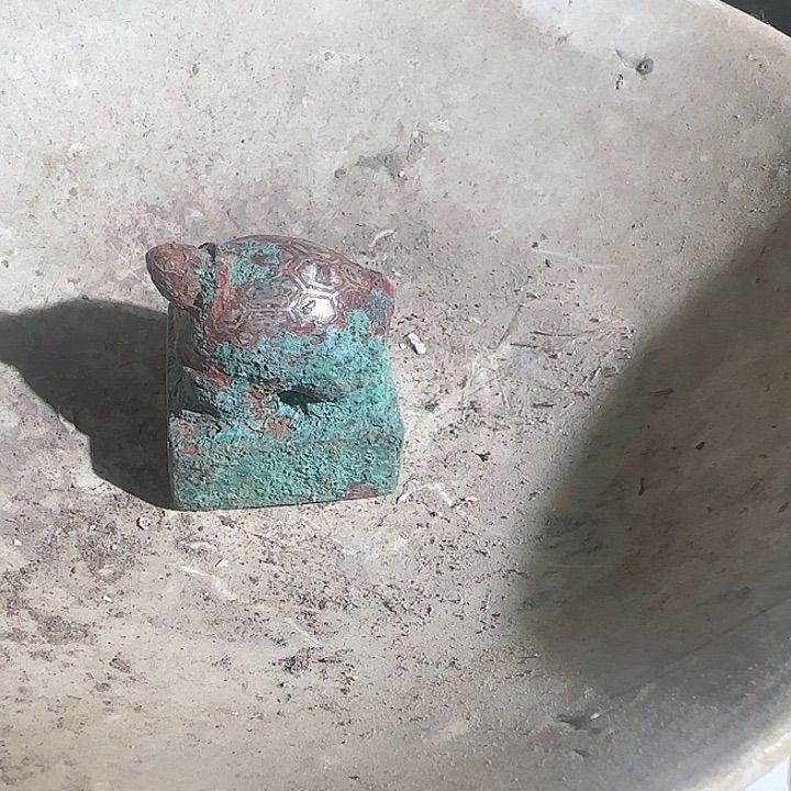 军**庄255555445588878