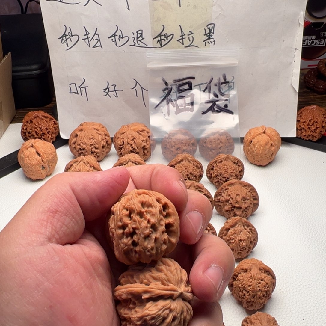 核桃白狮子嘎嘎嘎好