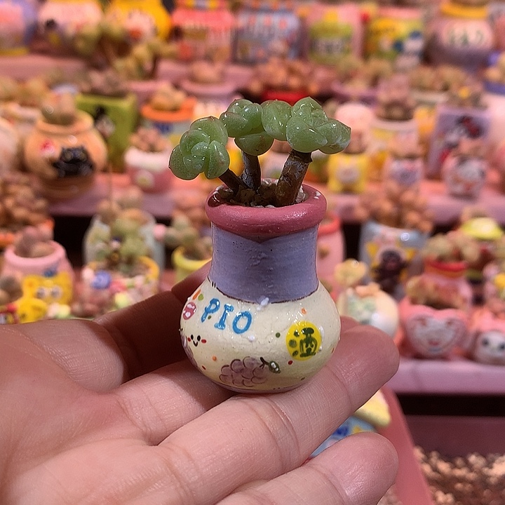 冰透溏心冰玉带盆发货