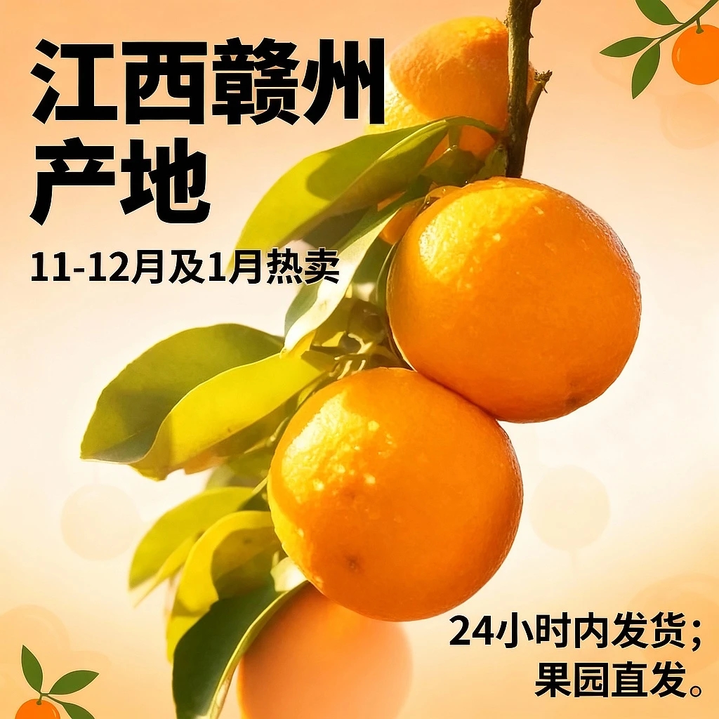 赣南脐橙果园最后一批现摘现发