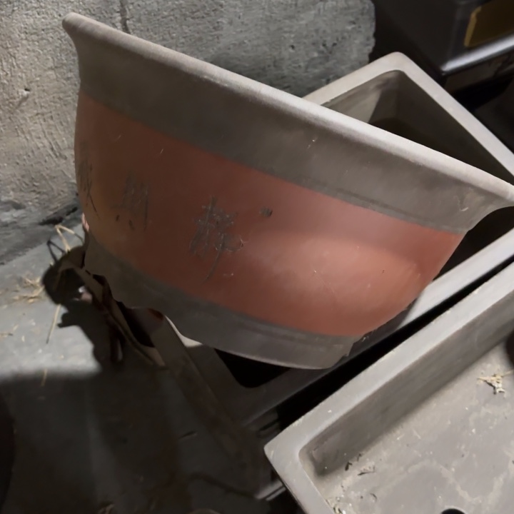 花盆紫砂41-20。    红。       